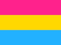 Pansexual Flag